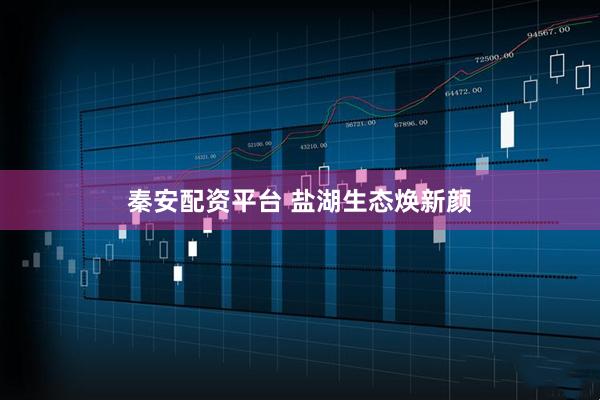 秦安配资平台 盐湖生态焕新颜