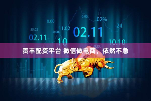 责丰配资平台 微信做电商，依然不急